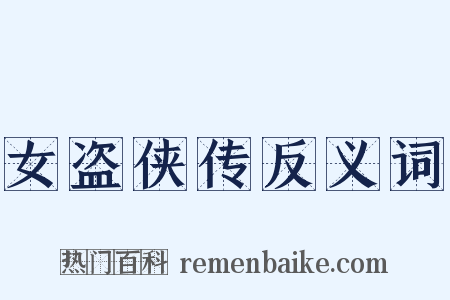 女盗侠传反义词是什么意思的图片